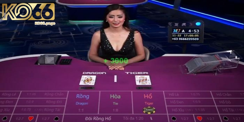 Rồng hổ KO66 - Hướng dẫn cách chơi bách chiến bách thắng 5 Lựa chọn cửa cược phù hợp